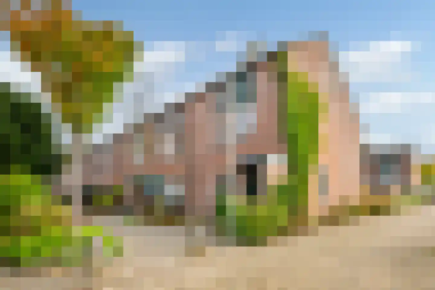 Oliemolen 13 in Koog aan de Zaan