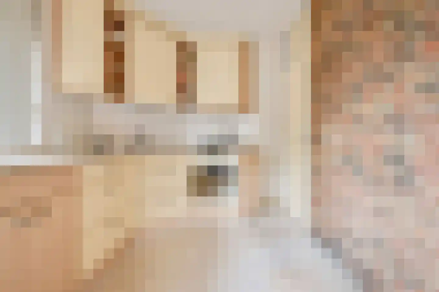 Oliemolen 13 Koog aan de Zaan thumbnail 10