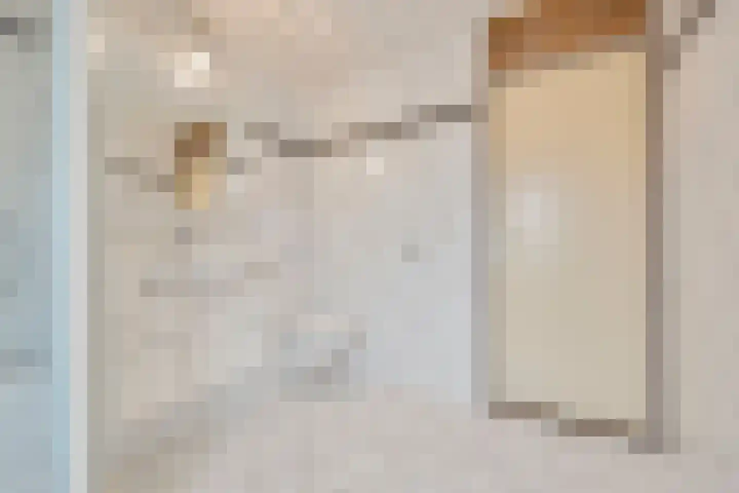 Oliemolen 13 Koog aan de Zaan thumbnail 15