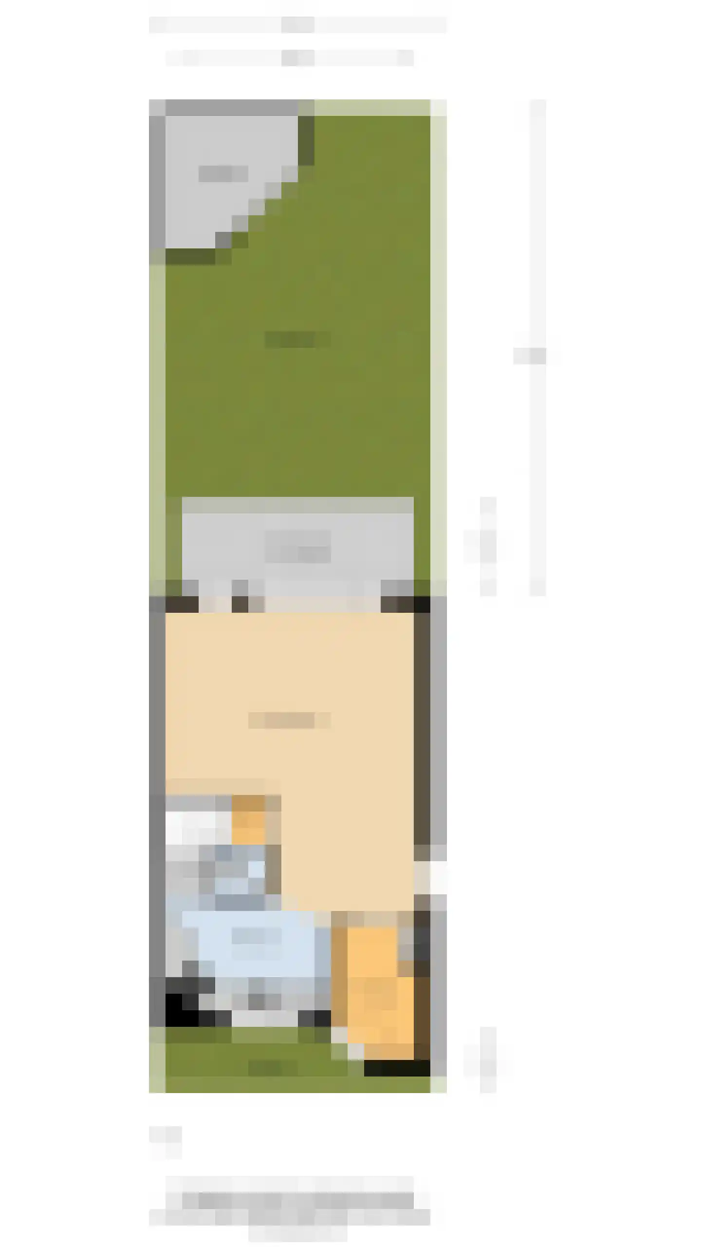 Oliemolen 13 Koog aan de Zaan thumbnail 32