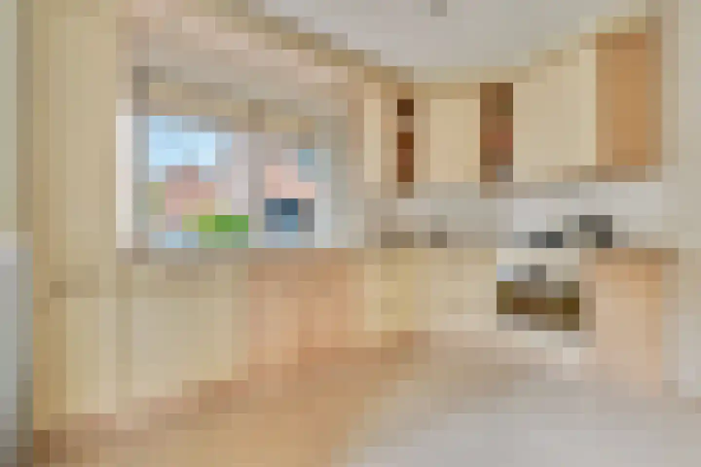 Oliemolen 13 Koog aan de Zaan thumbnail 8