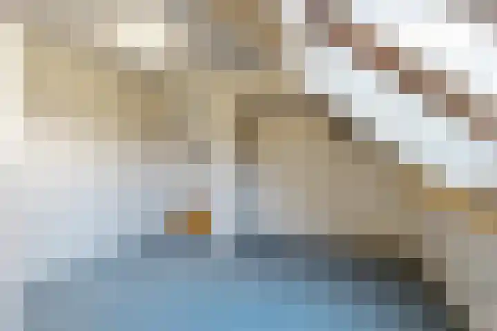 Oliemolen 137 Hoorn thumbnail 22