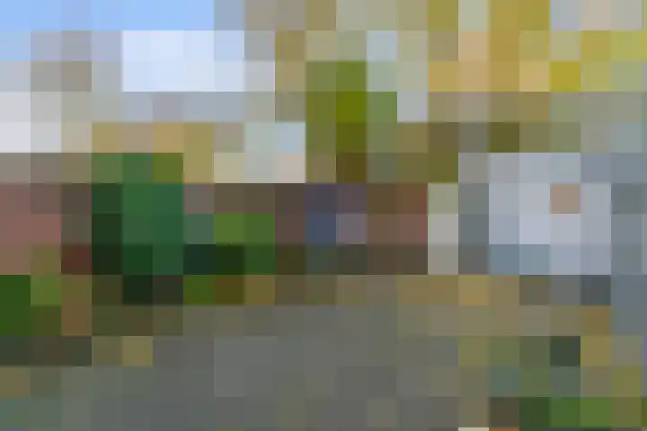 Oliemolen 137 Hoorn thumbnail 24