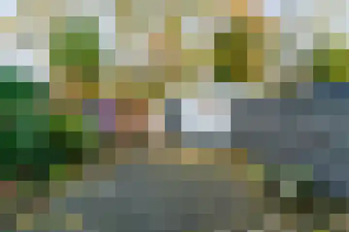 Oliemolen 137 Hoorn thumbnail 25