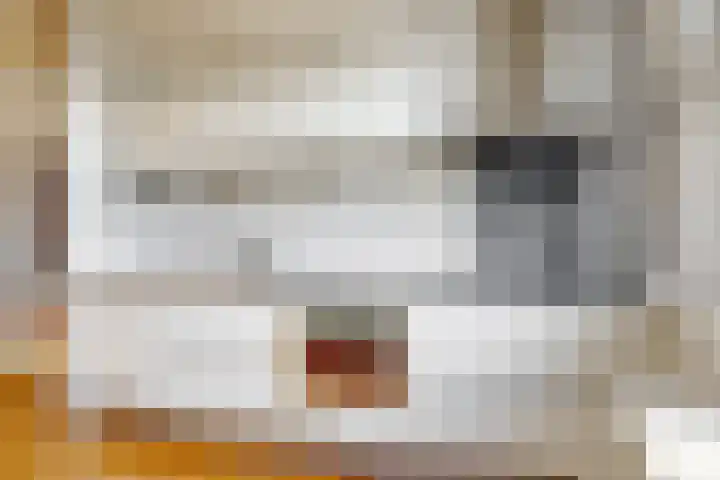 Oliemolen 137 Hoorn thumbnail 6