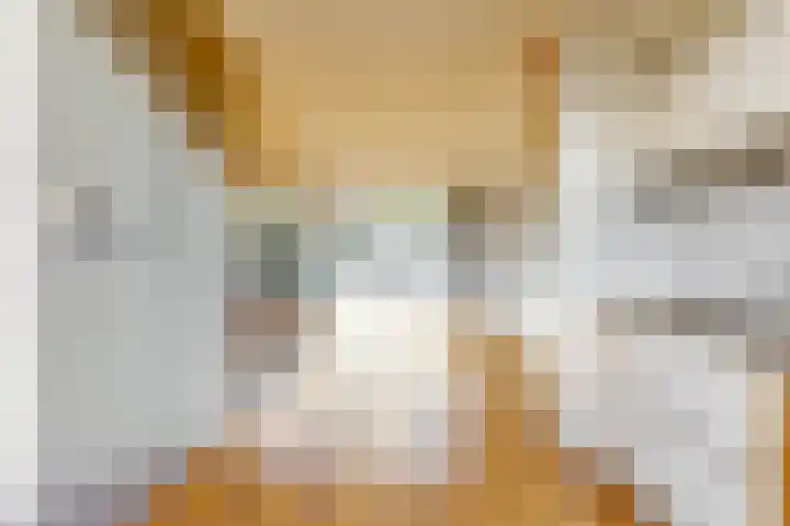 Oliemolen 137 Hoorn thumbnail 7