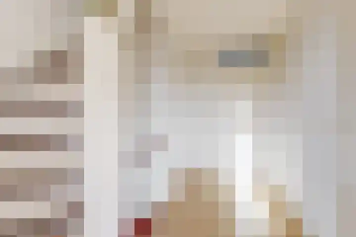 Oliemolen 137 Hoorn thumbnail 9
