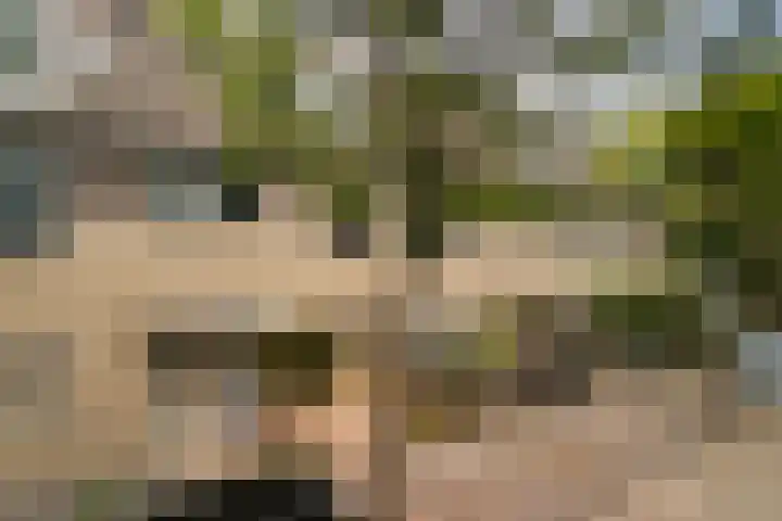 Oliemolen 14 Alphen aan den Rijn thumbnail 10