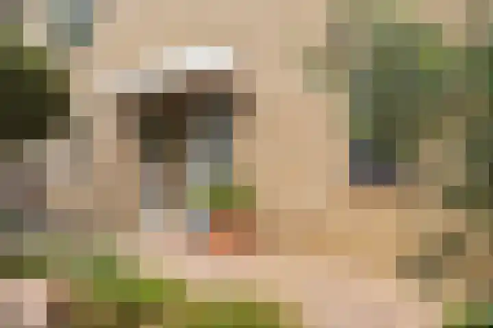 Oliemolen 14 Alphen aan den Rijn thumbnail 11