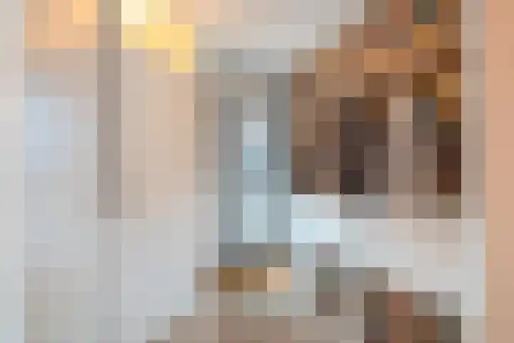 Oliemolen 14 Alphen aan den Rijn thumbnail 14