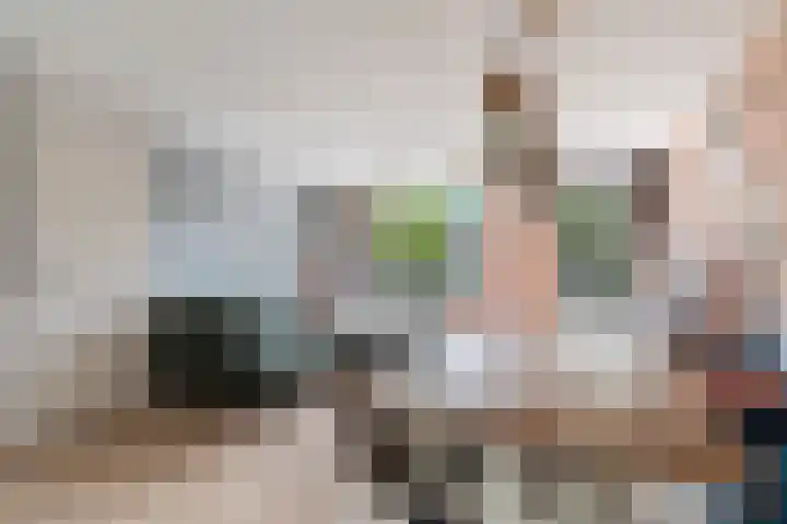 Oliemolen 14 Alphen aan den Rijn thumbnail 17