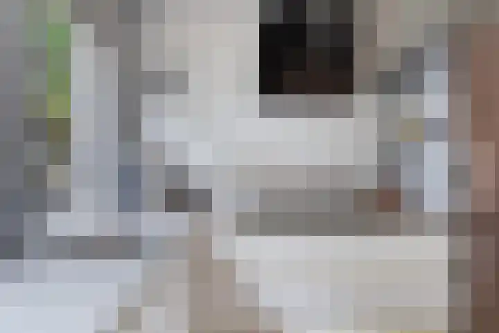 Oliemolen 14 Alphen aan den Rijn thumbnail 31