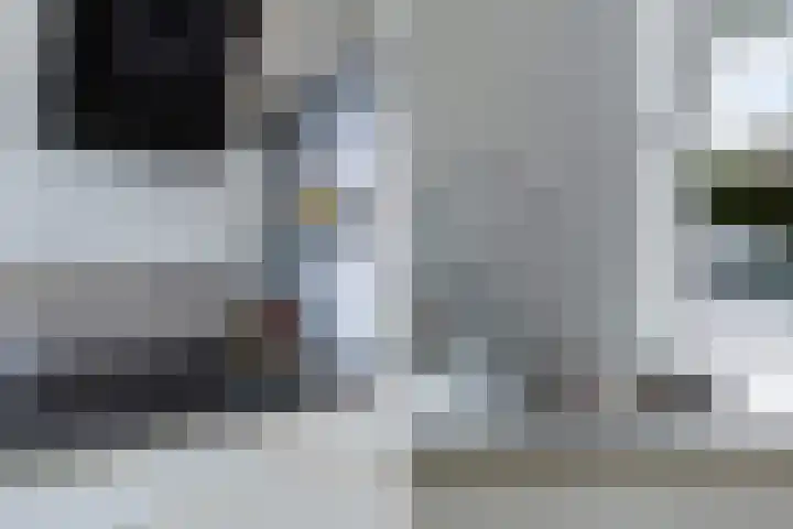 Oliemolen 14 Alphen aan den Rijn thumbnail 32