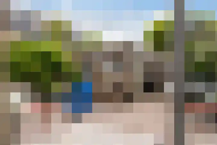 Oliemolen 14 Alphen aan den Rijn thumbnail 35