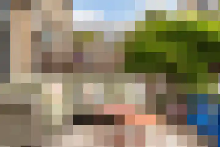 Oliemolen 14 Alphen aan den Rijn thumbnail 36