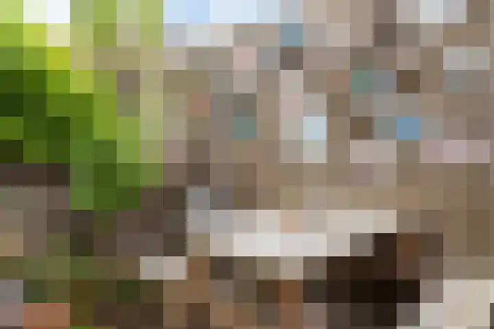 Oliemolen 14 Alphen aan den Rijn thumbnail 38