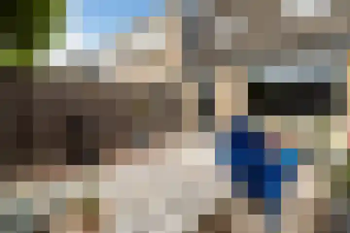 Oliemolen 14 Alphen aan den Rijn thumbnail 39