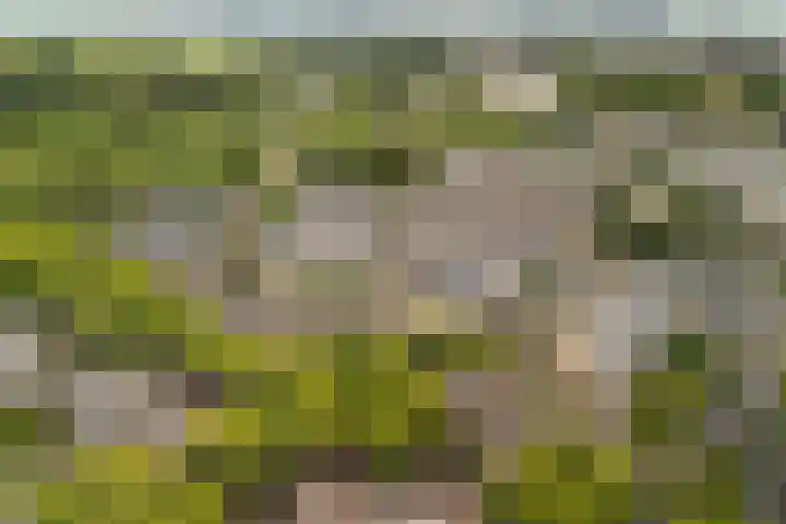 Oliemolen 14 Alphen aan den Rijn thumbnail 4