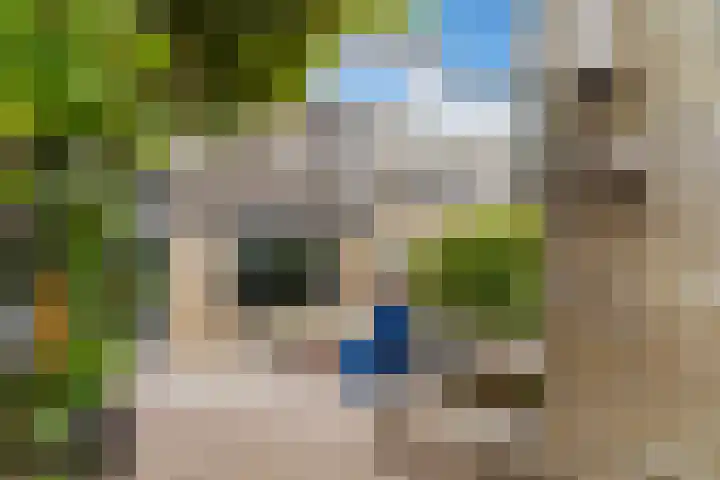 Oliemolen 14 Alphen aan den Rijn thumbnail 40