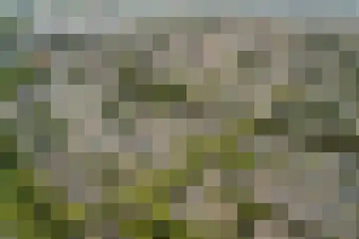 Oliemolen 14 Alphen aan den Rijn thumbnail 5