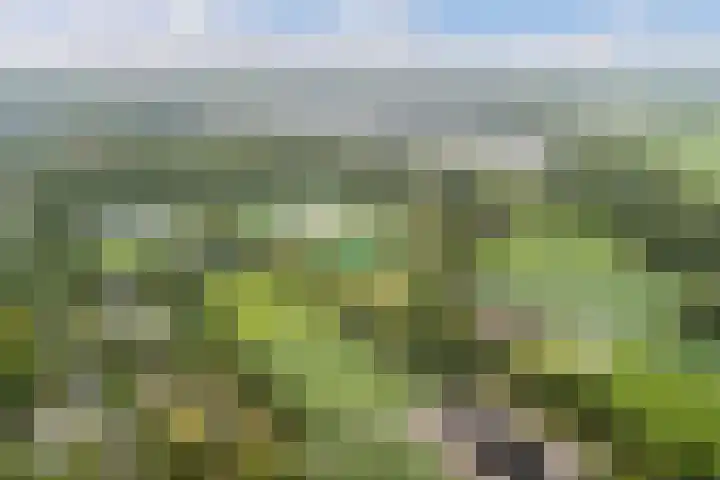 Oliemolen 14 Alphen aan den Rijn thumbnail 57