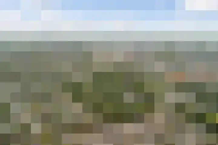 Oliemolen 14 Alphen aan den Rijn thumbnail 58