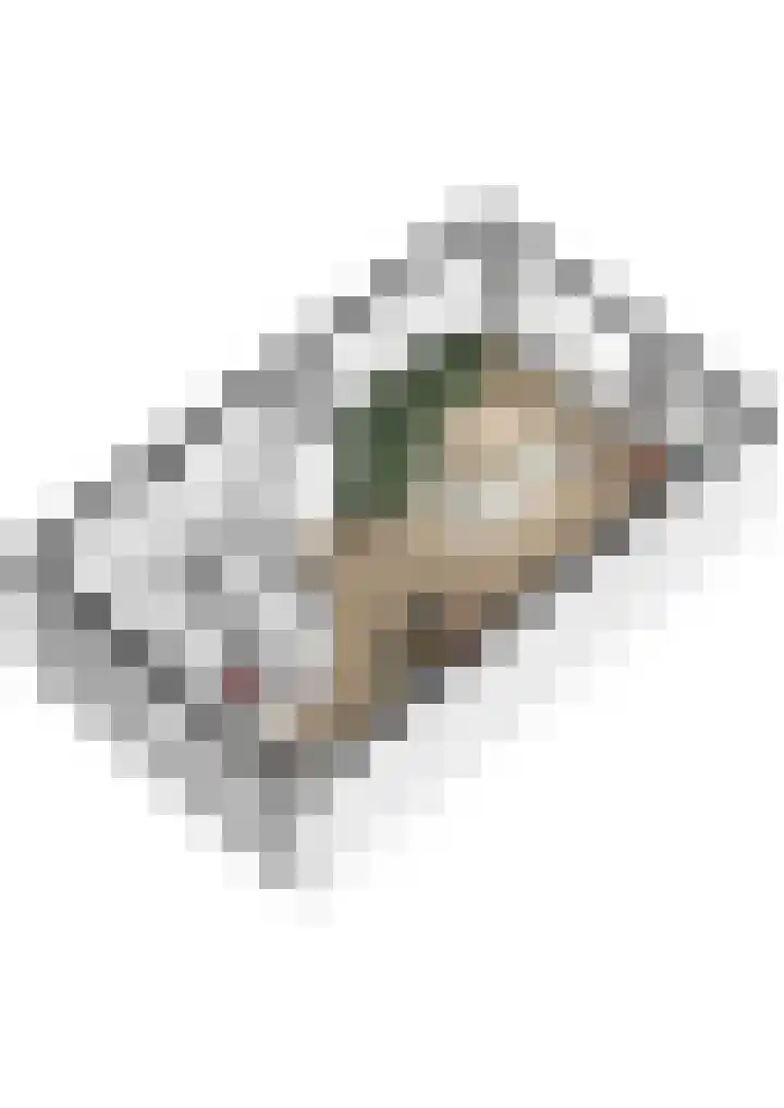 Oliemolen 14 Alphen aan den Rijn thumbnail 63
