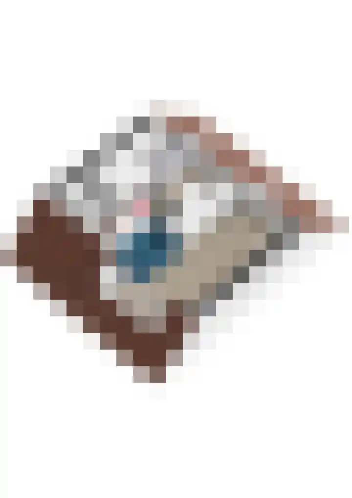Oliemolen 14 Alphen aan den Rijn thumbnail 65