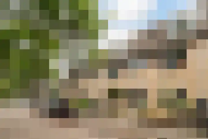 Oliemolen 14 Alphen aan den Rijn thumbnail 7