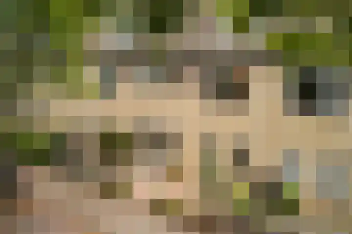 Oliemolen 14 Alphen aan den Rijn thumbnail 9