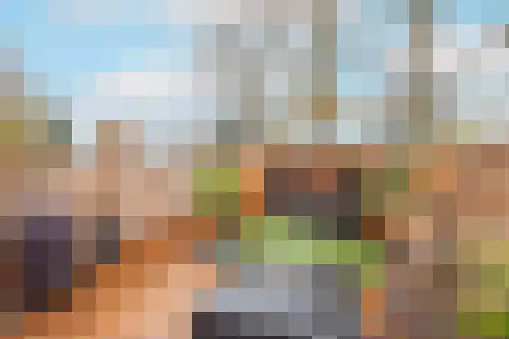 Oliemolen 146 Hoorn thumbnail 48