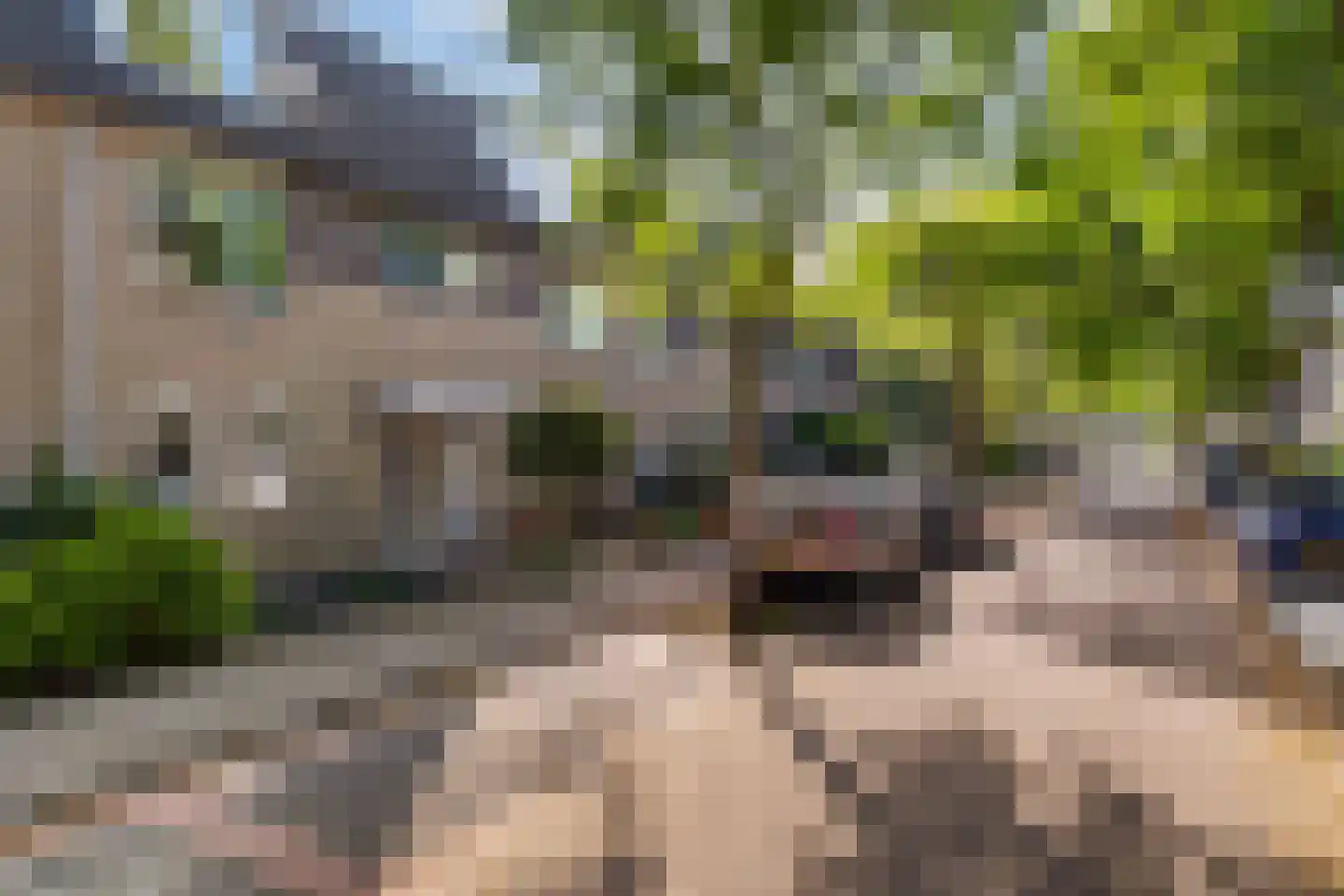 Oliemolen 16 Alphen aan den Rijn thumbnail 10