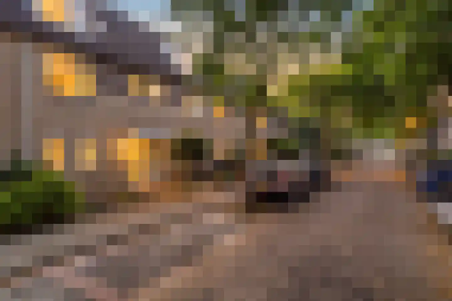 Oliemolen 16 Alphen aan den Rijn thumbnail 11