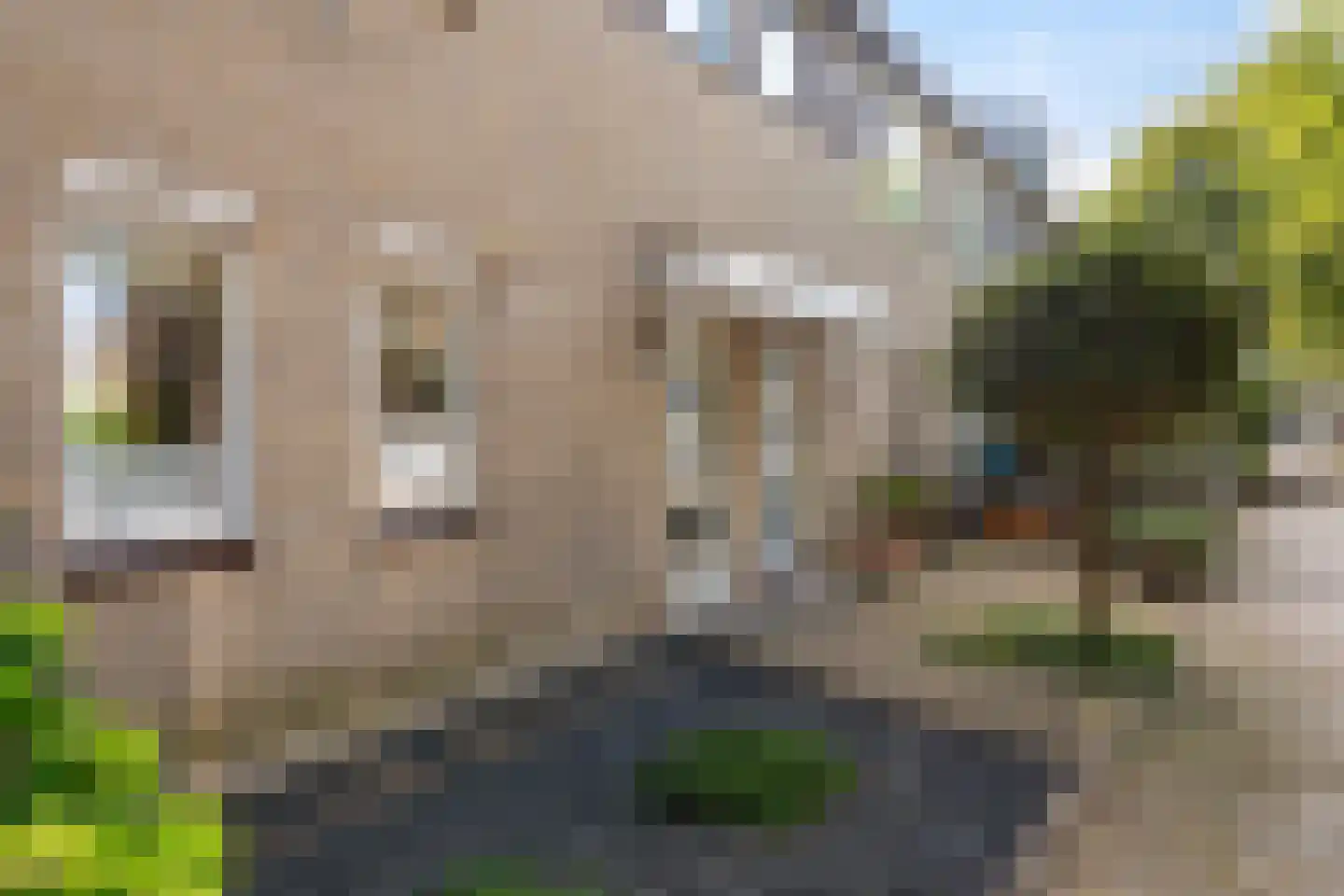 Oliemolen 16 Alphen aan den Rijn thumbnail 12