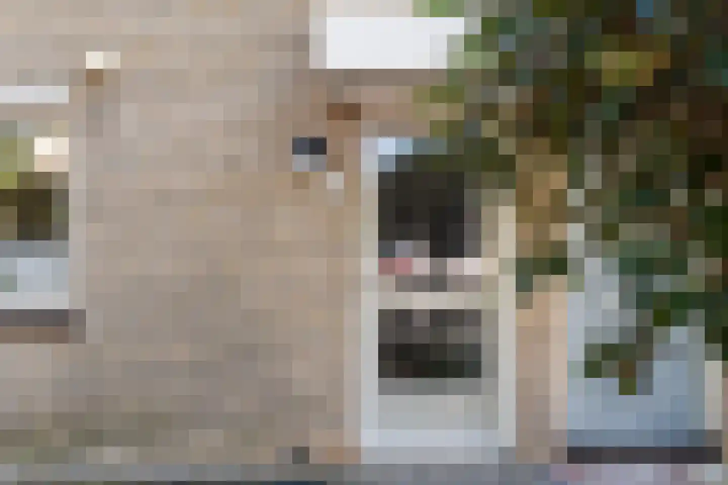 Oliemolen 16 Alphen aan den Rijn thumbnail 13