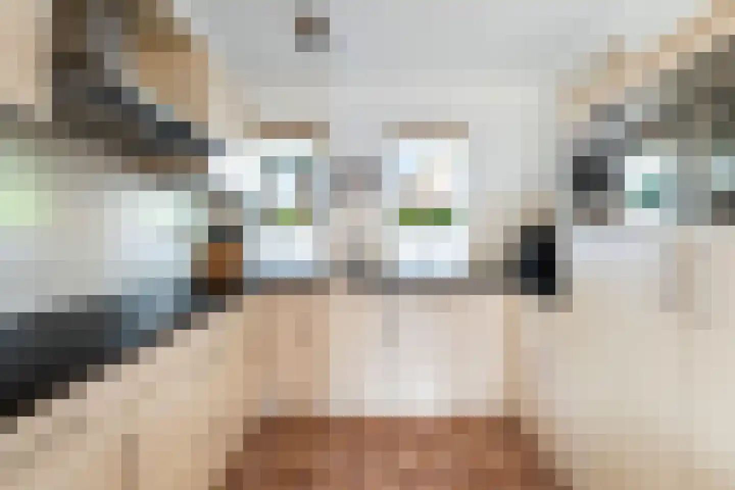Oliemolen 16 Alphen aan den Rijn thumbnail 28