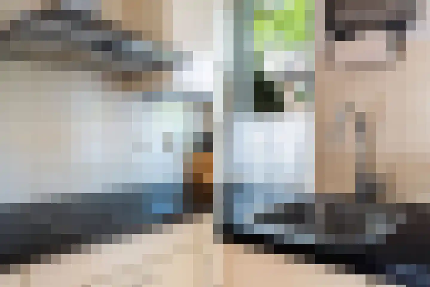 Oliemolen 16 Alphen aan den Rijn thumbnail 30