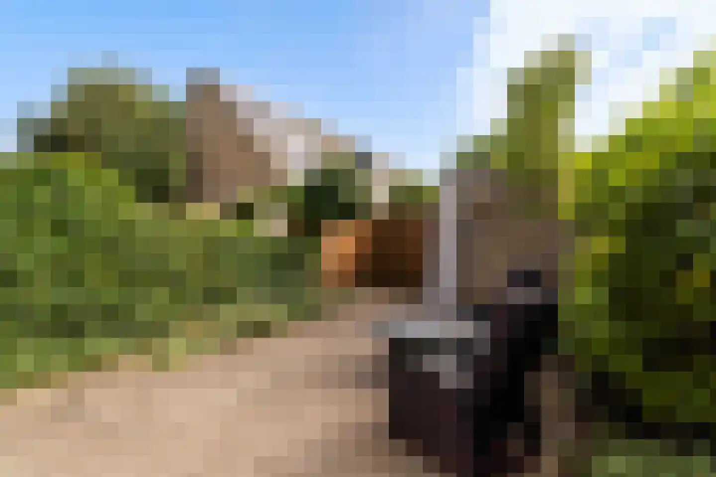 Oliemolen 16 Alphen aan den Rijn thumbnail 31