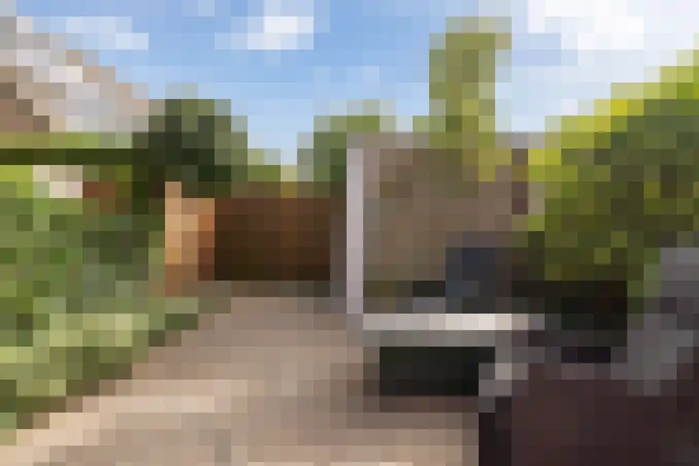 Oliemolen 16 Alphen aan den Rijn thumbnail 32