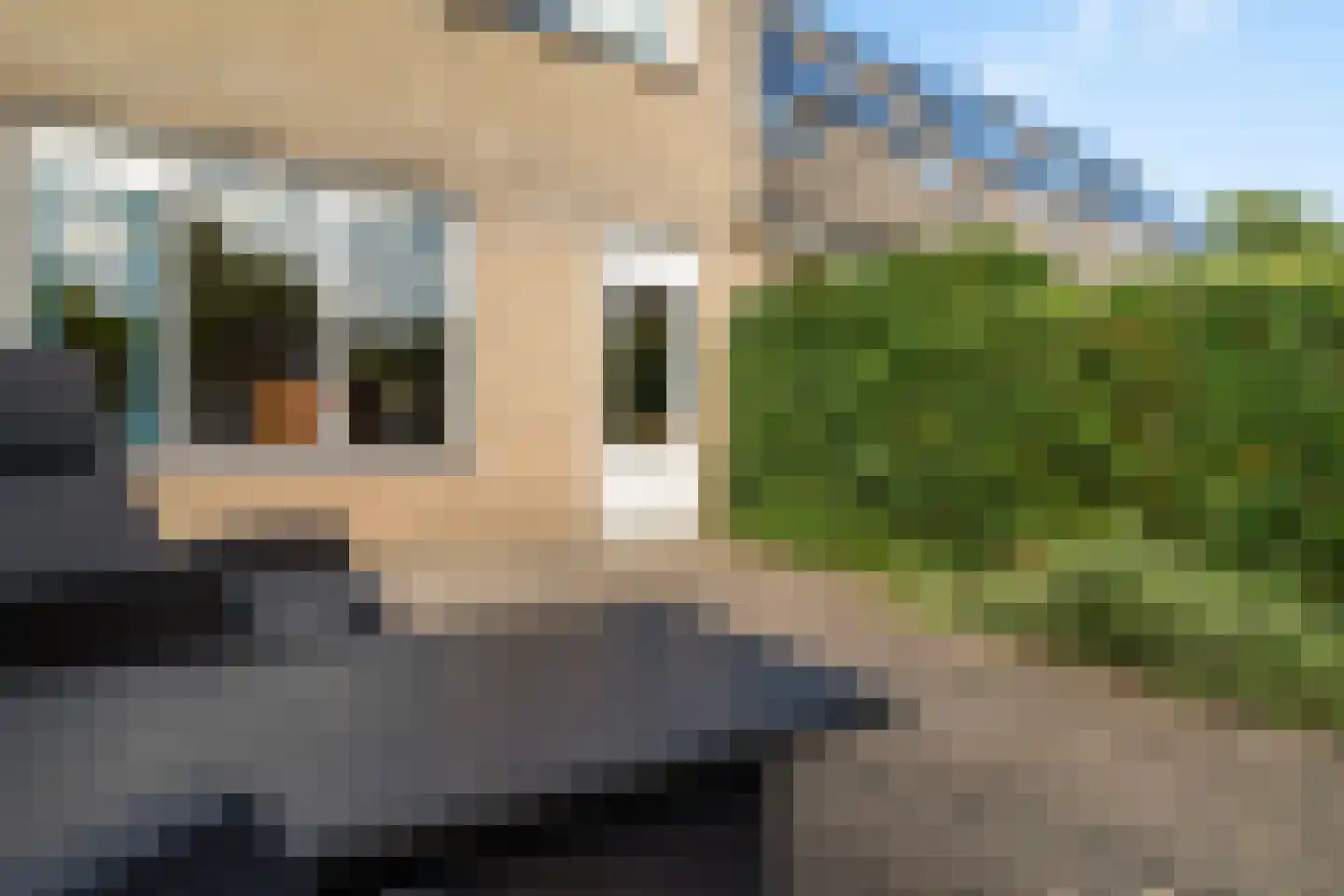 Oliemolen 16 Alphen aan den Rijn thumbnail 34