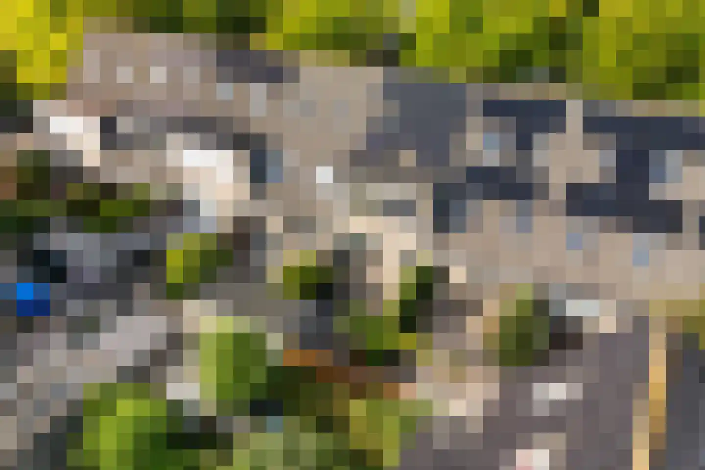 Oliemolen 16 Alphen aan den Rijn thumbnail 36