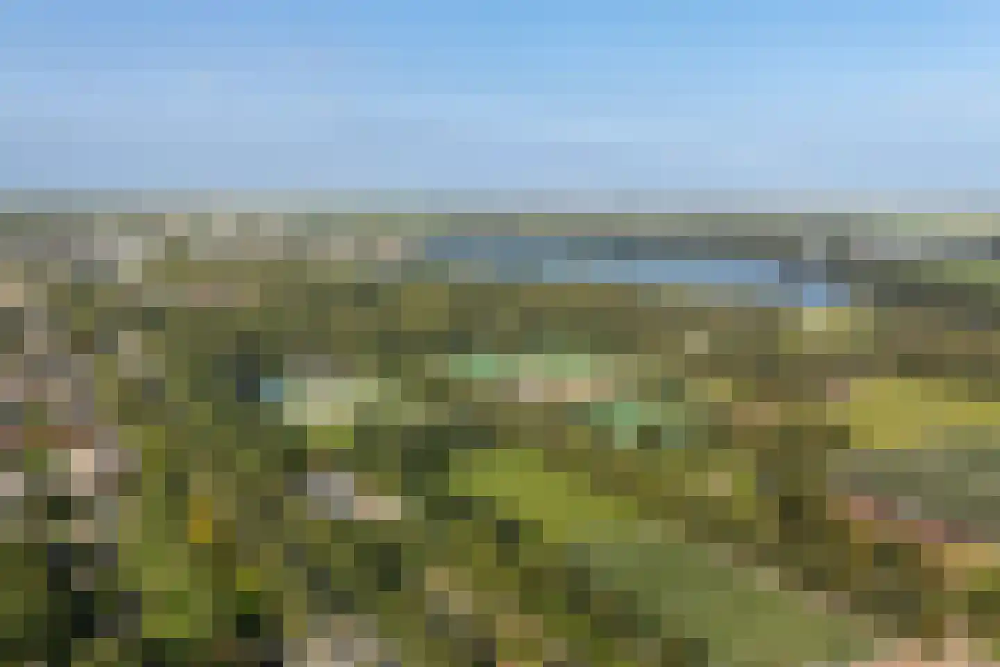 Oliemolen 16 Alphen aan den Rijn thumbnail 4