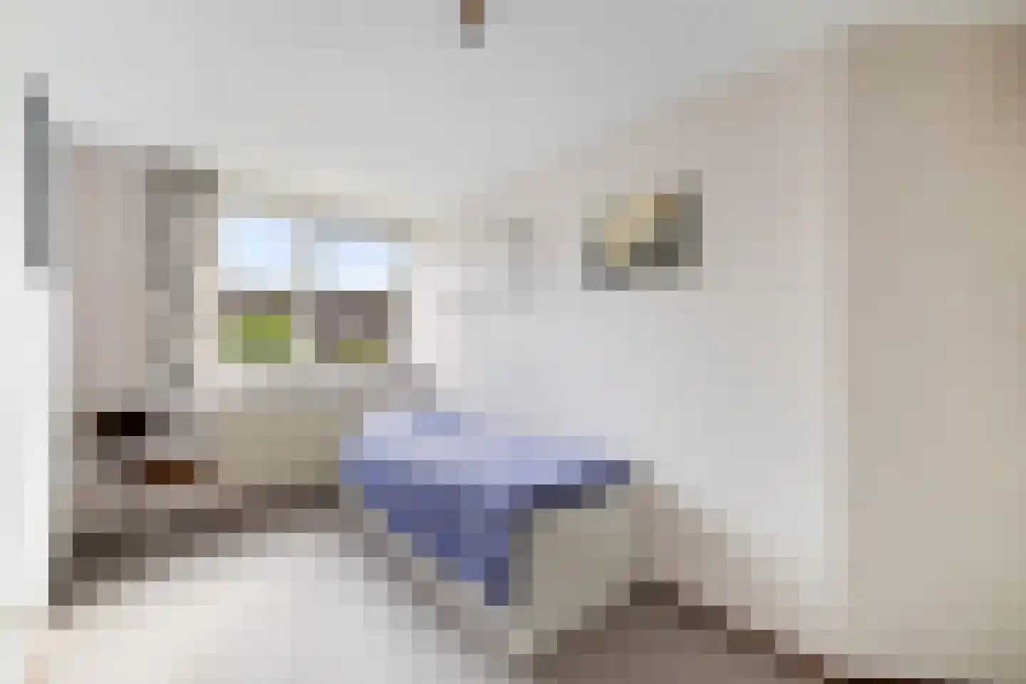 Oliemolen 16 Alphen aan den Rijn thumbnail 41
