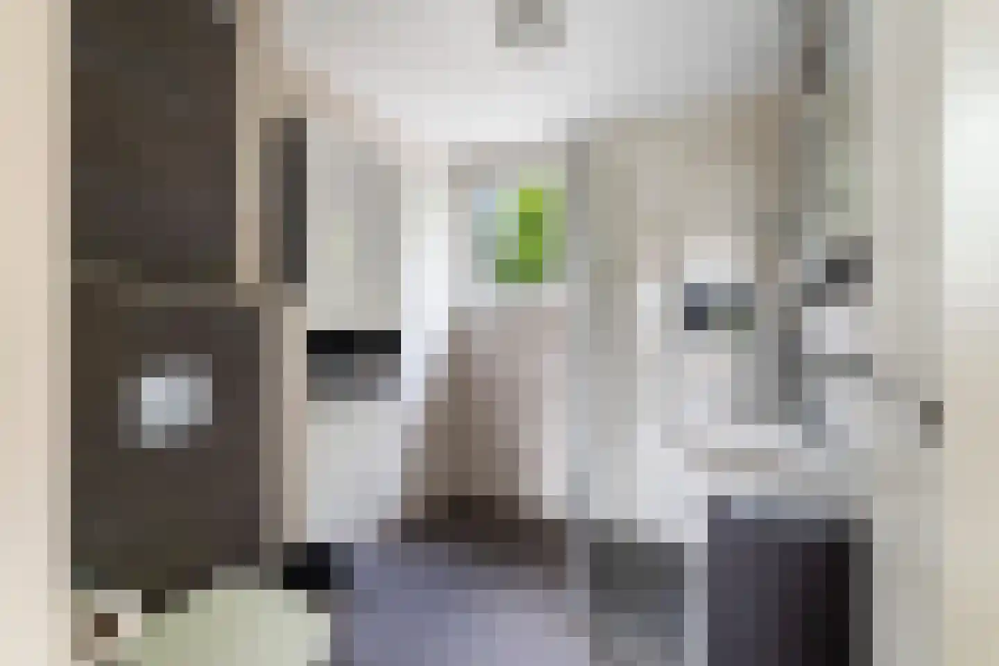 Oliemolen 16 Alphen aan den Rijn thumbnail 45