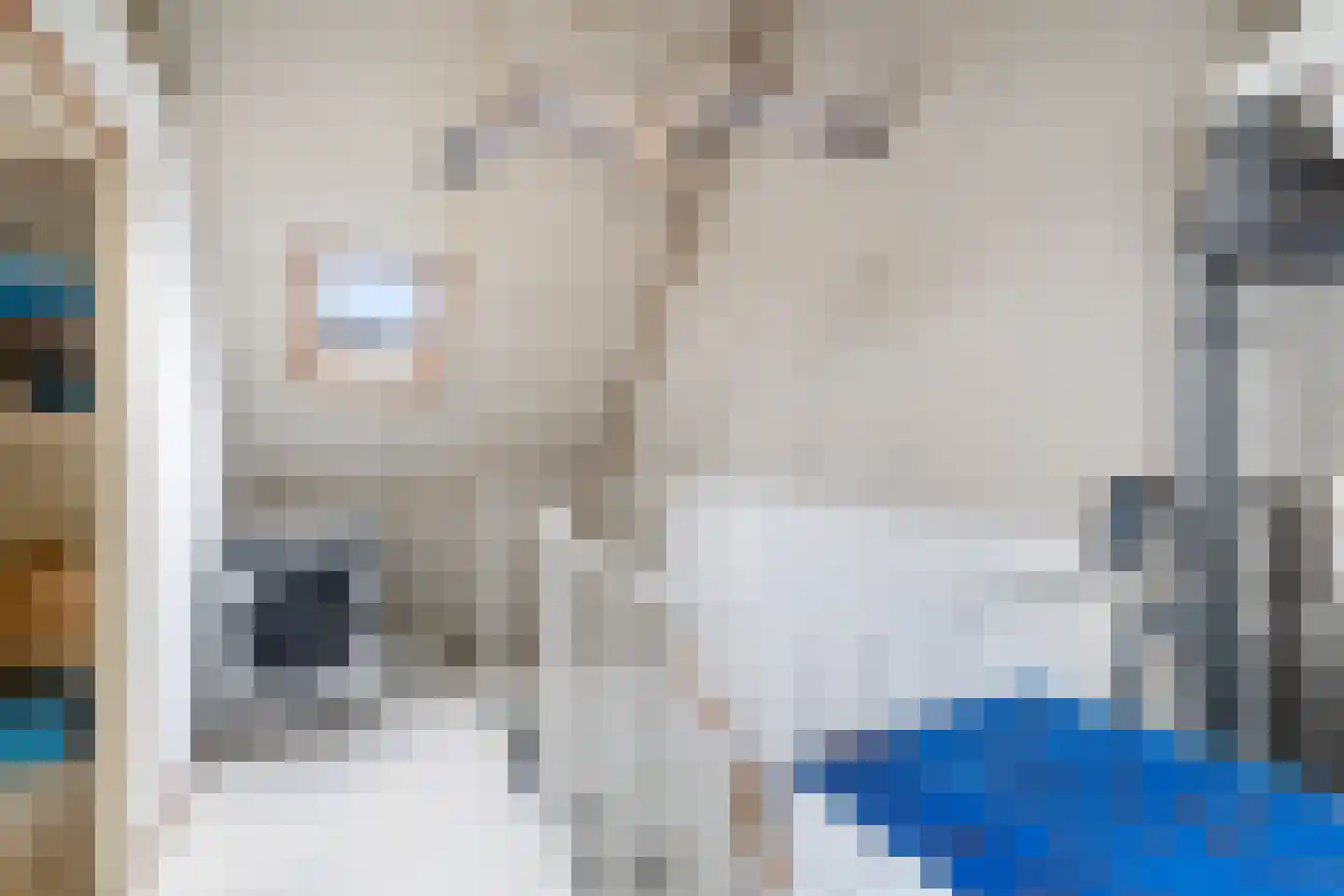 Oliemolen 16 Alphen aan den Rijn thumbnail 48