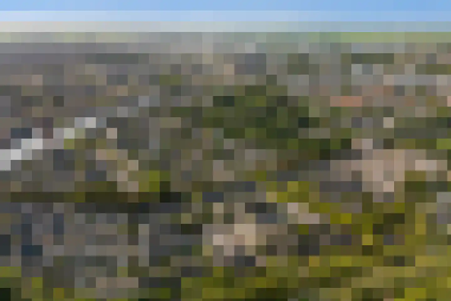 Oliemolen 16 Alphen aan den Rijn thumbnail 5