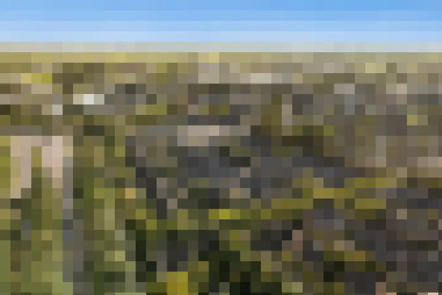 Oliemolen 16 Alphen aan den Rijn thumbnail 6