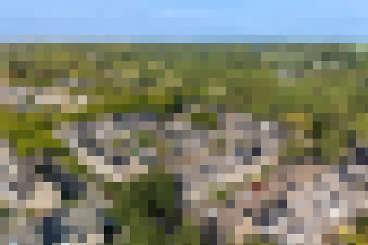 Oliemolen 16 Alphen aan den Rijn thumbnail 8