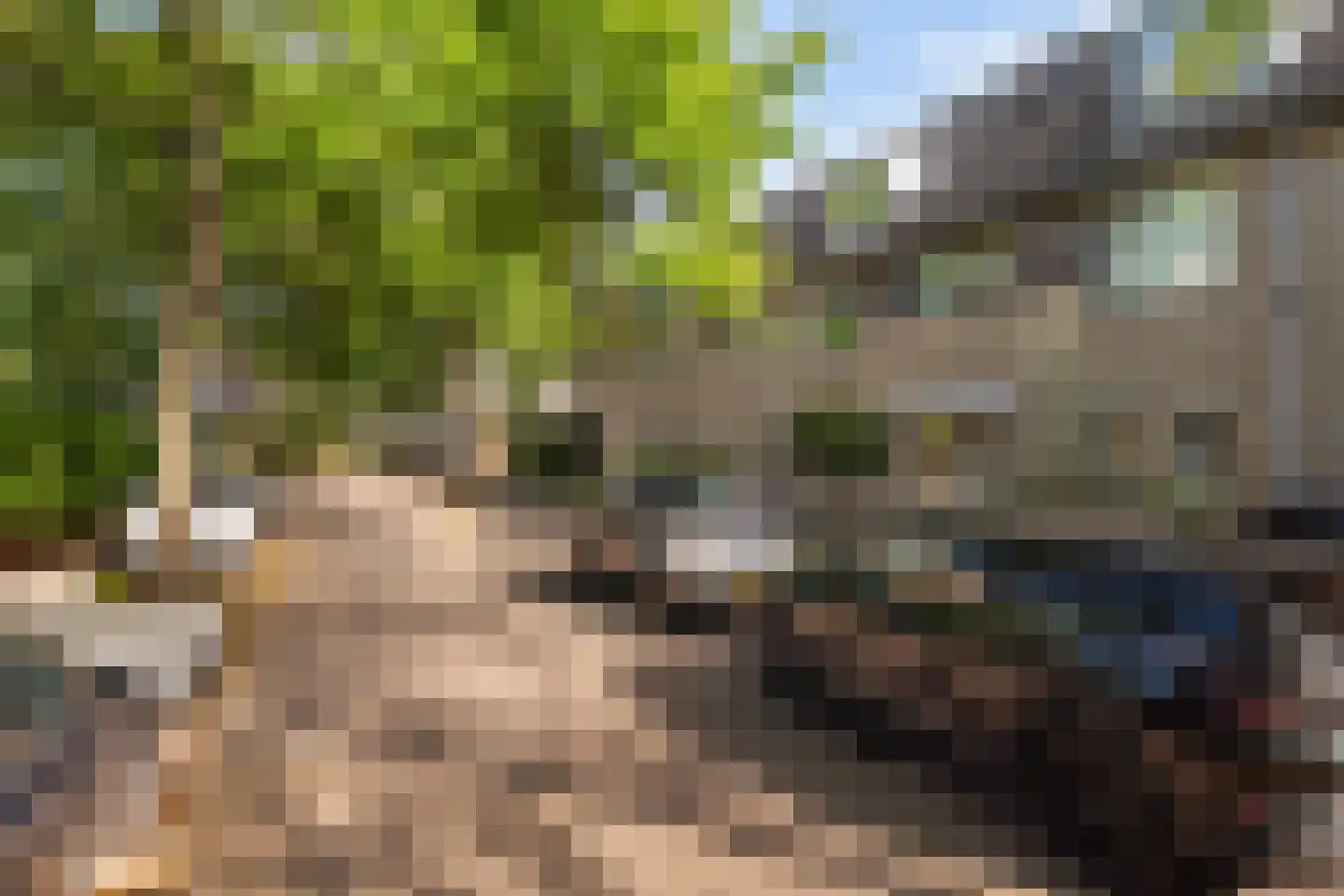 Oliemolen 16 Alphen aan den Rijn thumbnail 9