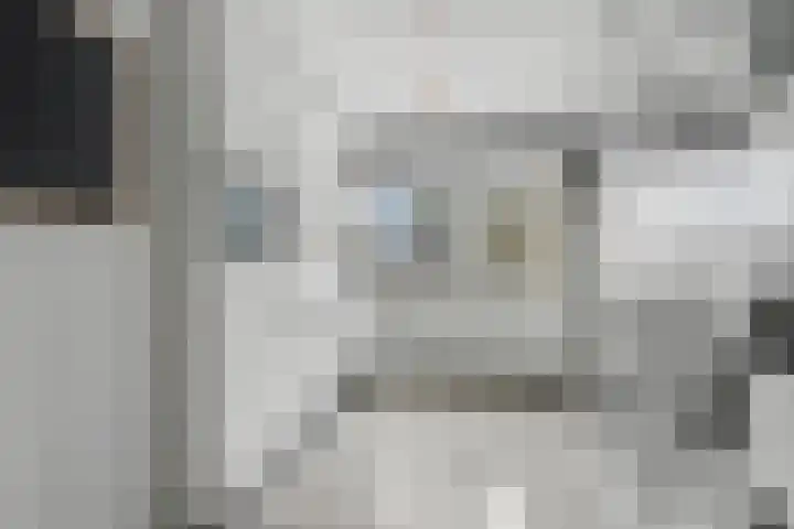 Oliemolen 199 Hoorn thumbnail 13